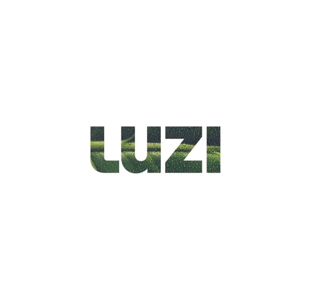 Luzi